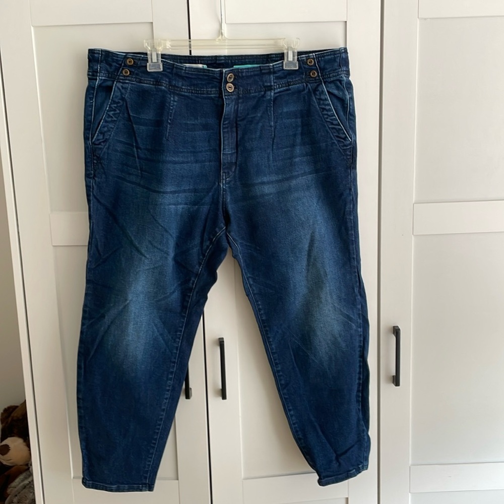Anthropologie Pilcro high rise skinny jeans